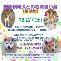 譲渡候補犬とのお見合い会