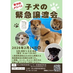 子犬（１歳以下）の緊急譲渡会
