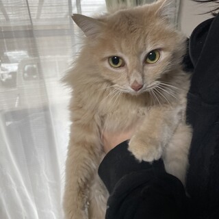 ふわふわ可愛い♡チップスくん