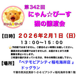 にゃん☆ぴーす猫の譲渡会【稲毛海岸/ペテモピアシティ稲毛海岸店』 サムネイル1