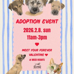 Delacroix Dog Ranchバレンタイン譲渡会