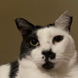 人間大好き！な男の子