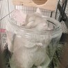 サボテン69 さん