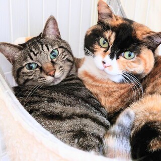 トライアル中：【兄妹一緒】仲良し最強コンビ♡