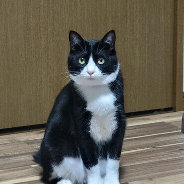 今じゃとても元気です！なにか言いたそう…