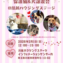 保護猫&保護犬 譲渡会 in 川越ハウジングステージ
