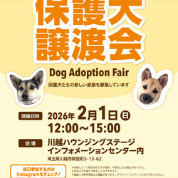 保護猫&保護犬 譲渡会 in 川越ハウジングステージ サムネイル2