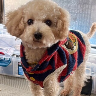 26-M7　可愛いタイニー男子♪