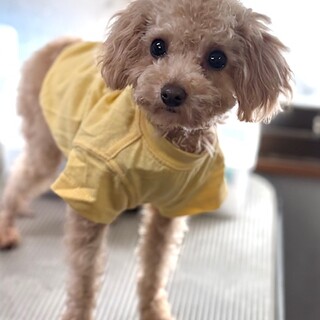 26-M12　美形！！可愛いです♪