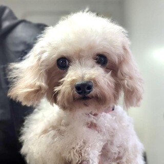 26-W28　甘えん坊で可愛いおとちゃん♪