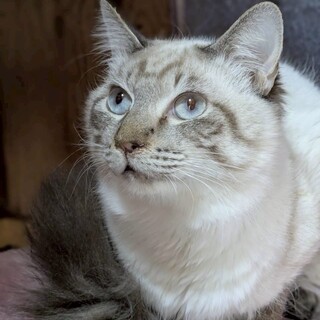 そっと寄り添う癒し系♡タラ