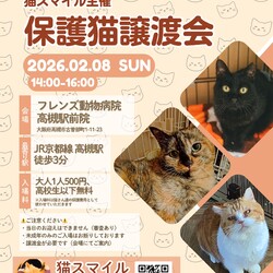 ねこの譲渡会＠高槻市