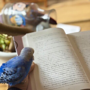 読書してる時のポジション
