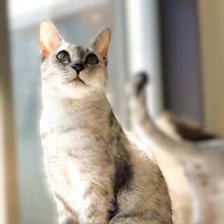 ◆3/20◆おだやかな甘えん坊ママ❤でぃあ