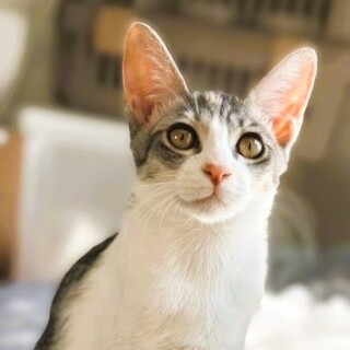 ◆3/20◆甘えん坊だけどしっかり者❤えま