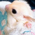 現在ご応募の方で検討しますので締め切ります