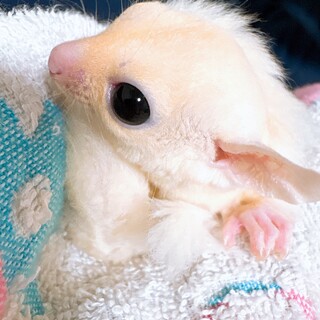 現在ご応募の方で検討しますので締め切ります