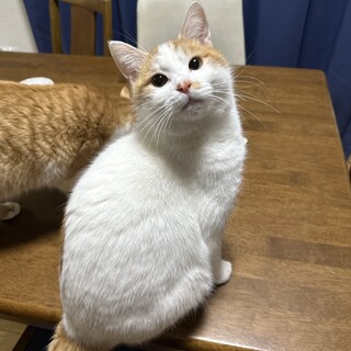 ふにゃふにゃ甘えんボーイ⭐︎みつき