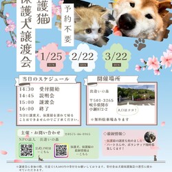 岐阜県関市の保護犬猫譲渡会