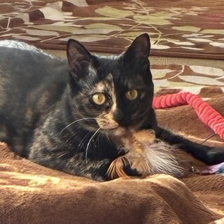 元気いっぱい❤︎遊ぶの大好き♡びわちゃん