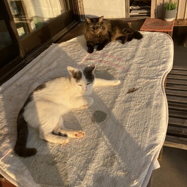 みんな誕生パーティー参加してくれた？