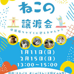 むさしの地域猫の会　譲渡会