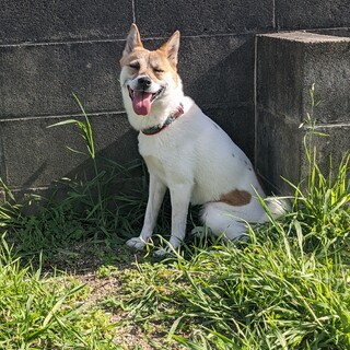 キラキラ笑顔の女の子♡