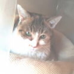 家族募集会 サムネイル2