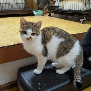 【トライアル決定】お目々ぱっちりのかわいい女の子