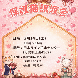 保護猫譲渡会in花木センター 20260214