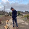 赤柴犬男の子 サムネイル6