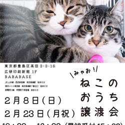 ◇ミャオ！ねこのおうち◇譲渡会◇
