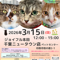 花ねこ譲渡会