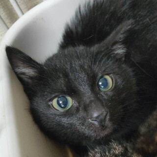 ���킢���ɂ�B���ڂ��@����