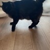 の写真