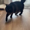 の写真