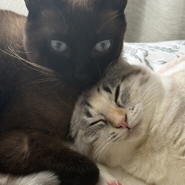 お兄ちゃんと一緒❤️