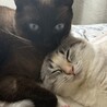 お兄ちゃんと一緒❤️