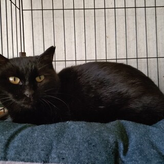 �狭�I�ł��i���i�����L�́g������h�ł���