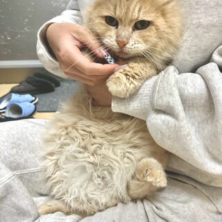 穏やかな優しい女の子