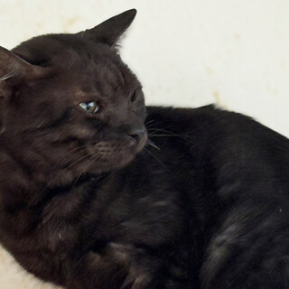 公園に遺棄♂きやり5〜7歳※初参加