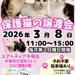 【予約不要】保護猫の譲渡会