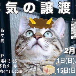 本気の譲渡会 サムネイル1