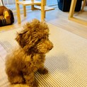募集終了