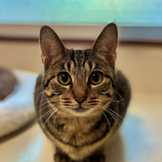 2/8高田馬場★ぼんくん★妹好きな男の子