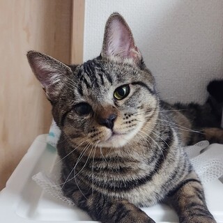 2/8高田馬場★慈雨くん★好奇心旺盛な男の子