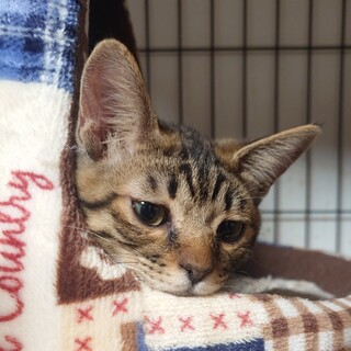 天真爛漫な甘えん坊♥️天使すぎるアンヘル君♥️