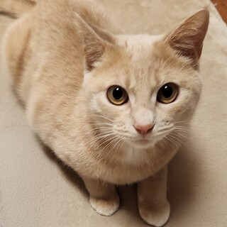 足の麻痺から復活したアンディー君