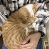 うにくん4歳オス大型です サムネイル5