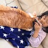 うにくん4歳オス大型です サムネイル6
